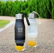Fruit Infuser Drinkware Water Bottle - ilove-ornaments.com