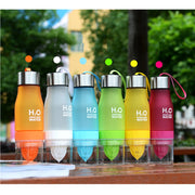 Fruit Infuser Drinkware Water Bottle - ilove-ornaments.com