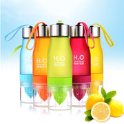 Fruit Infuser Drinkware Water Bottle - ilove-ornaments.com