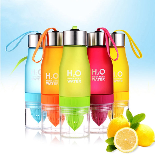 Fruit Infuser Drinkware Water Bottle - ilove-ornaments.com